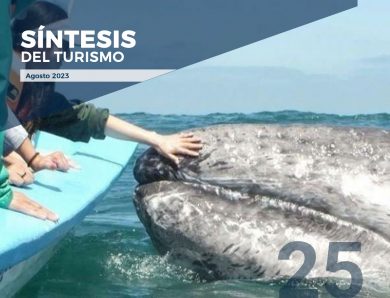 Síntesis del Turismo – No. 25, agosto 2023.